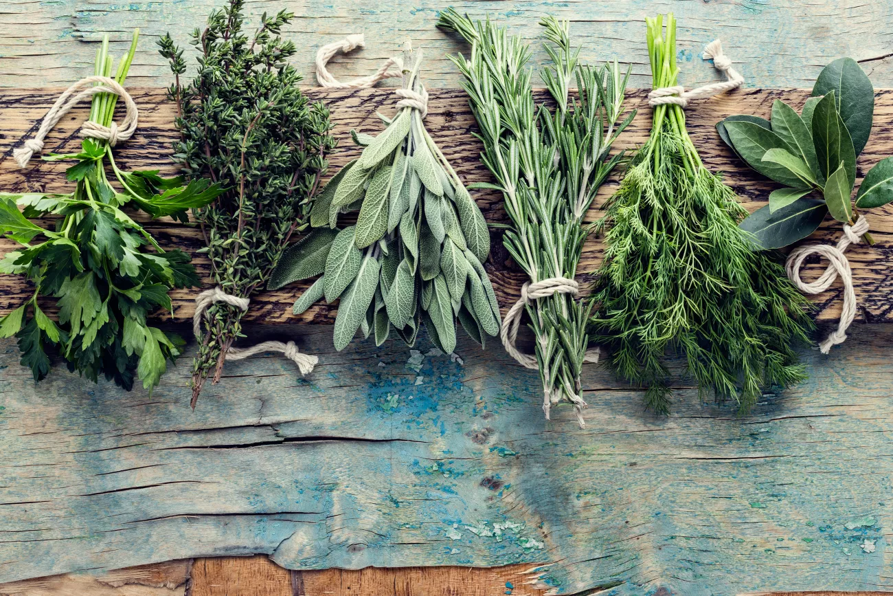 What Are CBD Terpenes, the Entourage Effect, and Flavonoids?