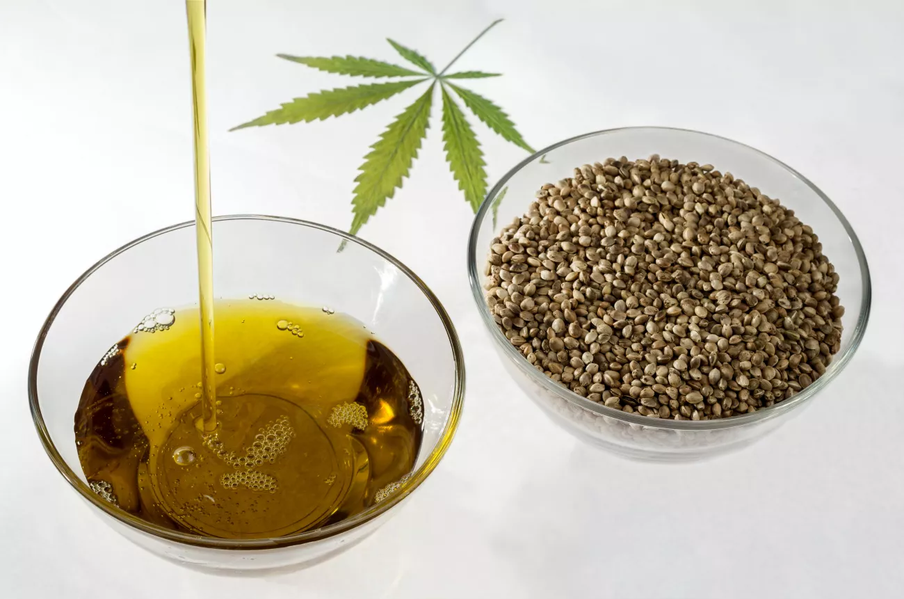 A Pet Owner's Guide to CBD