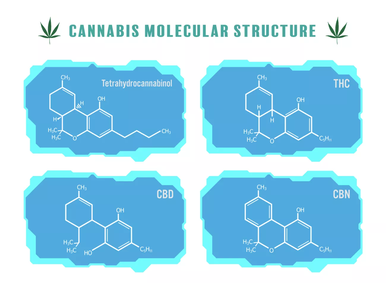 CBD Oil Guide | Extraction Methods, Dosage Guide, Information