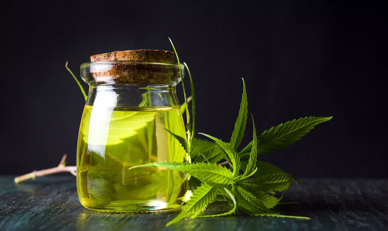 CBD Oils Guide