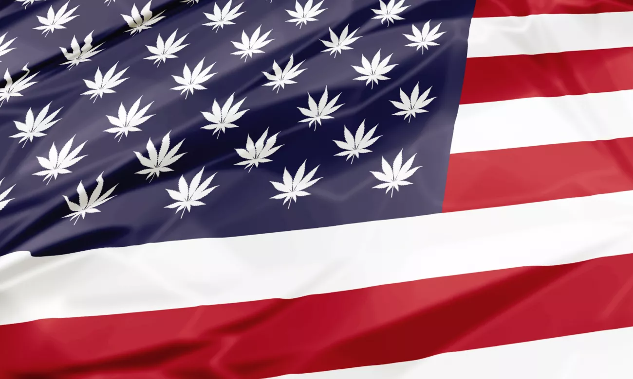 The Legality of CBD > Page Paragraphs