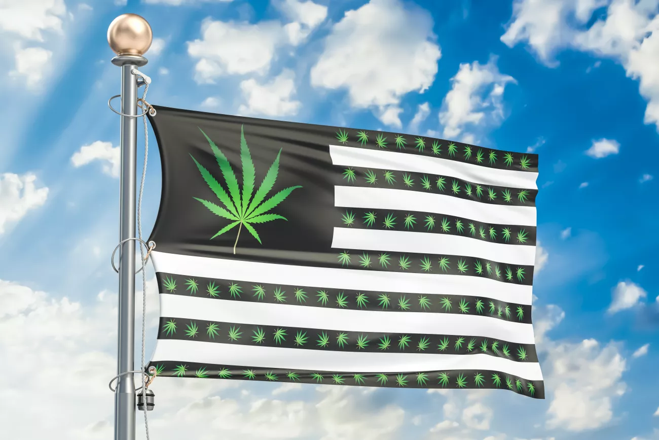 The Legality of CBD > Page Paragraphs
