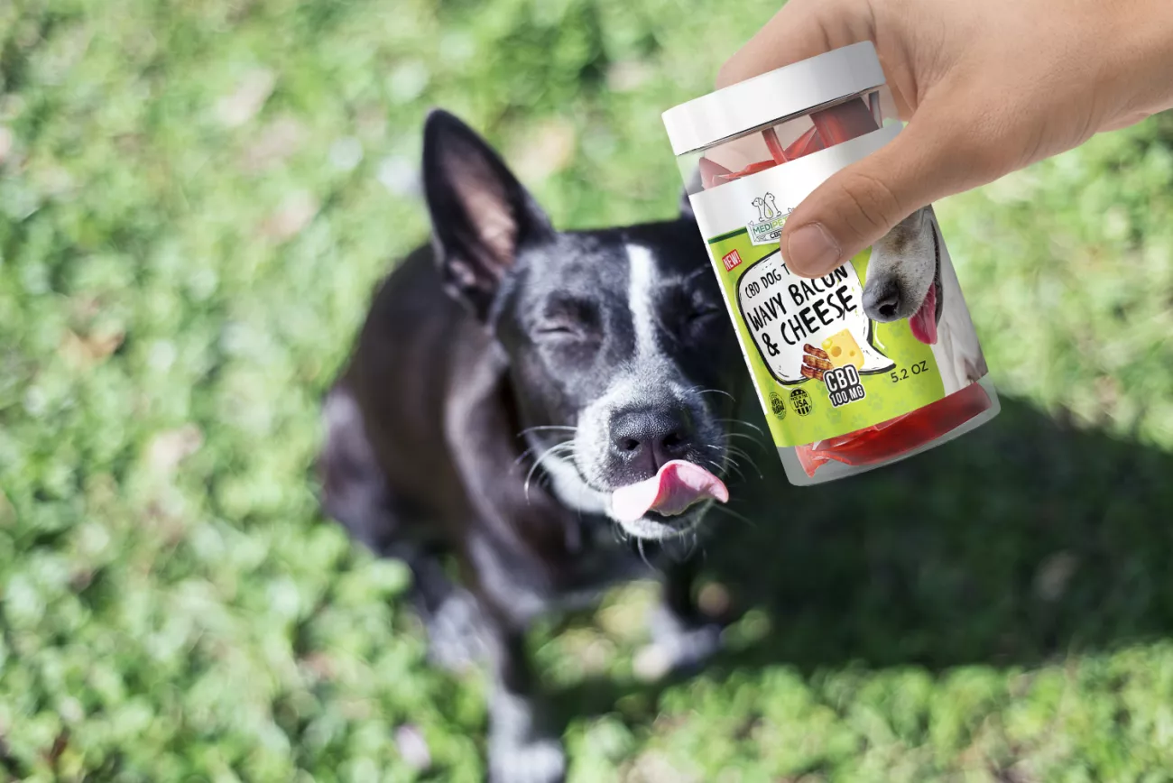 All About CBD For Pets > Page Paragraphs