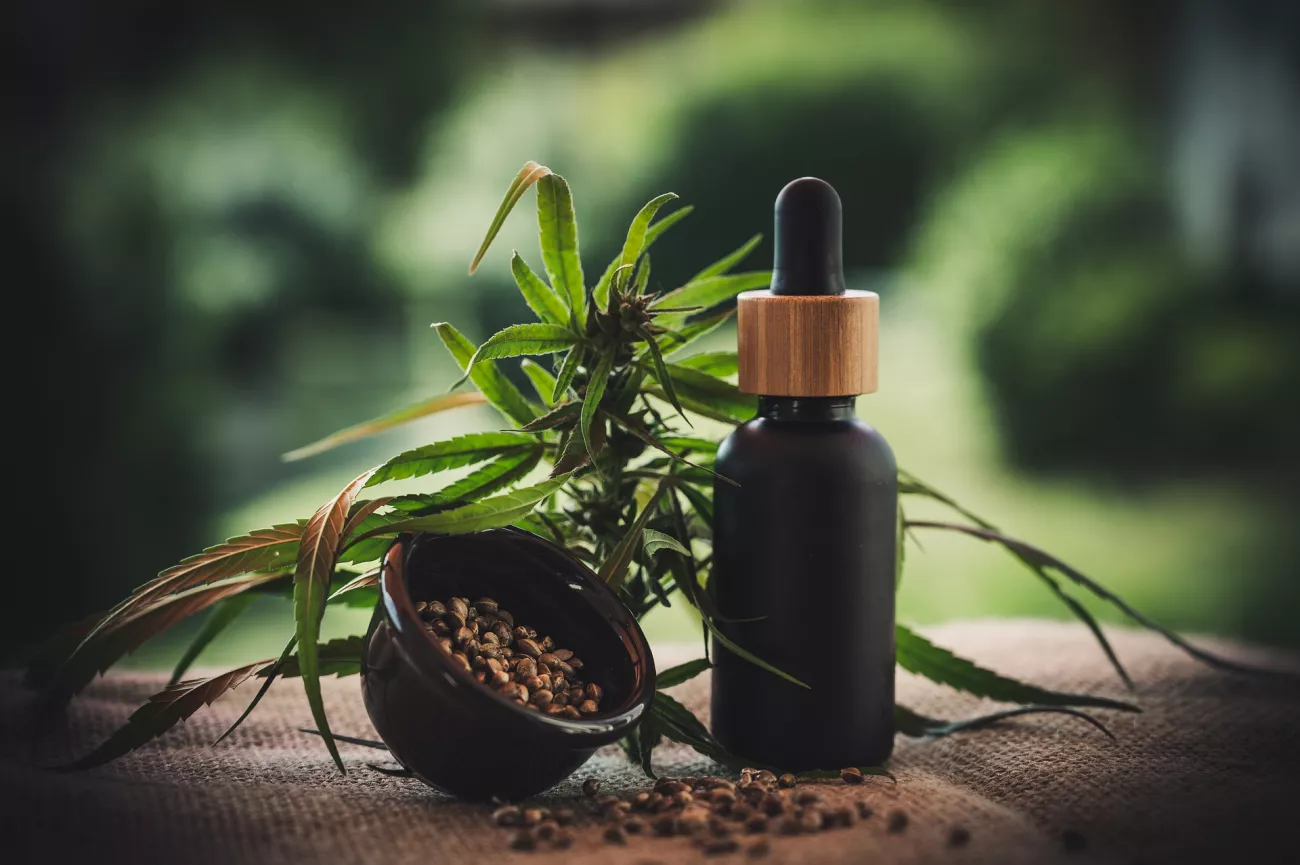 How to Store CBD And Make It Last > Page Paragraphs