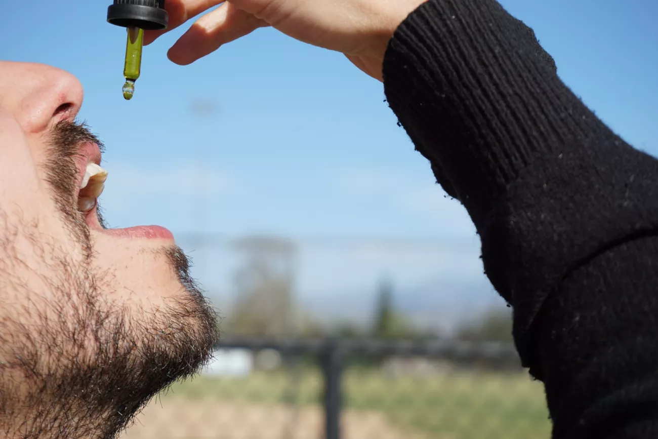 Delta-8 THC Is the Future of the Hemp Industry > Paragraphs