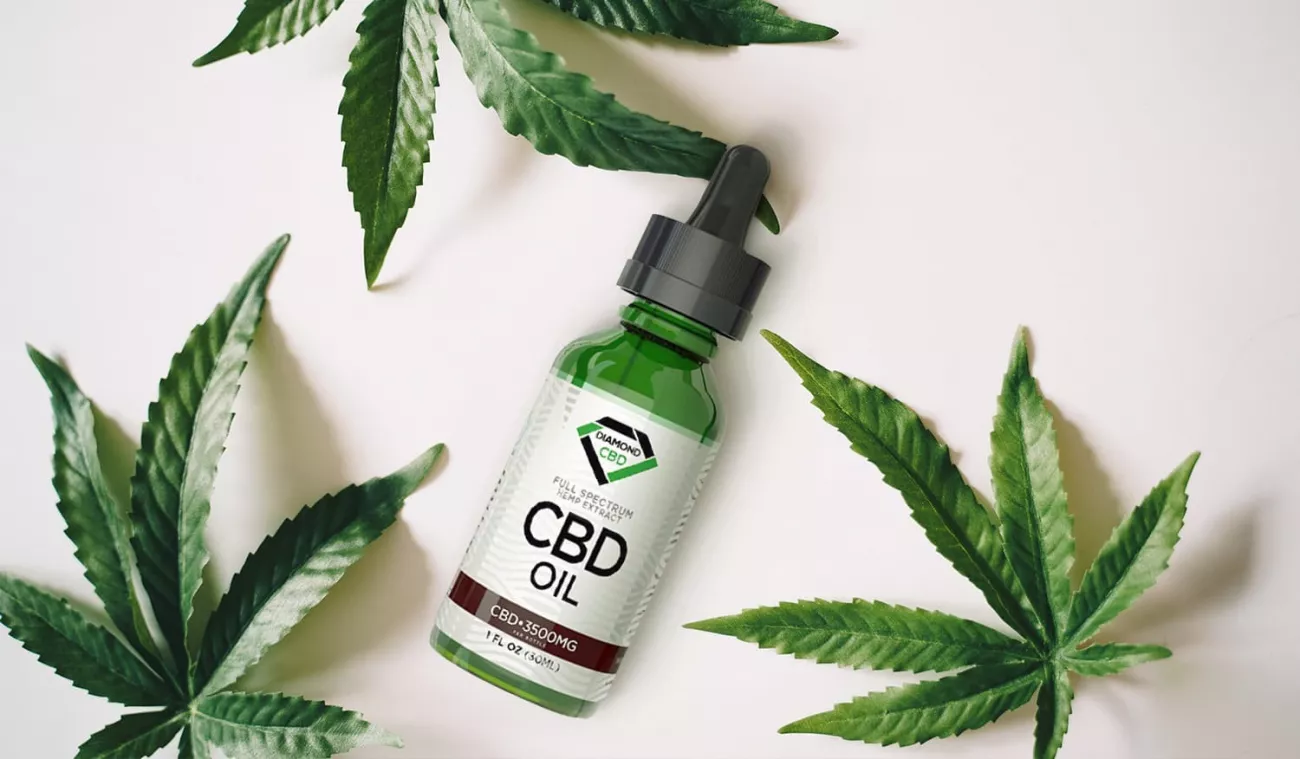 What Is CBD Guide > Page Paragraphs