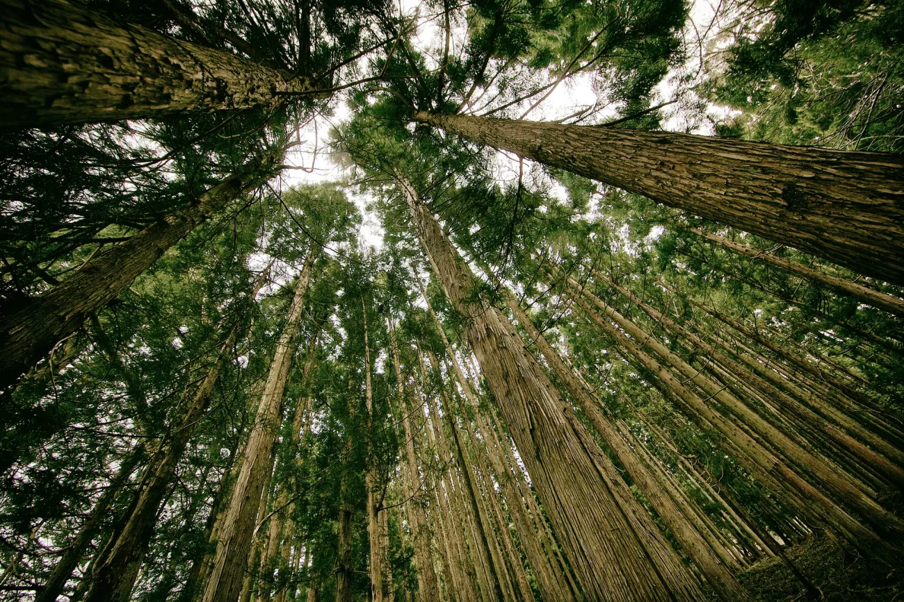 Here Are a Few Ways You Can Help Make Delta-8 More Environmentally Friendly > Paragraphs