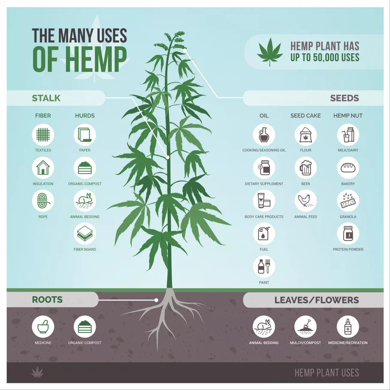 Is THC O legal?