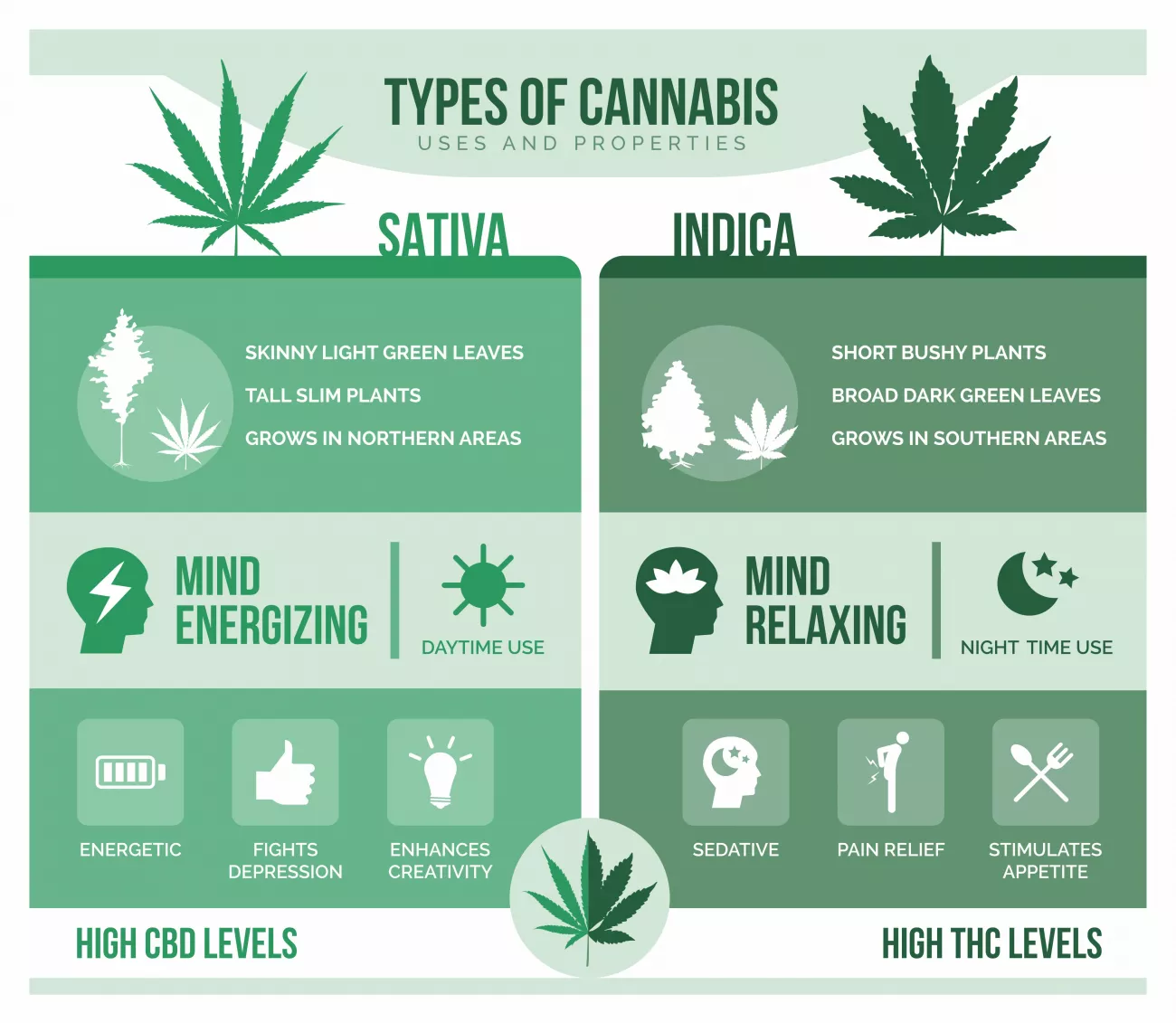 What Is THCV? An Energetic Sativa or Relaxing Indica?