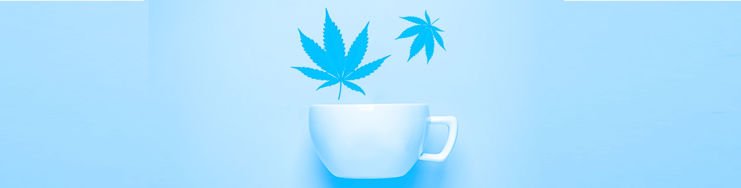 Cannabis Tea – The “Tea Weed” Recipe 