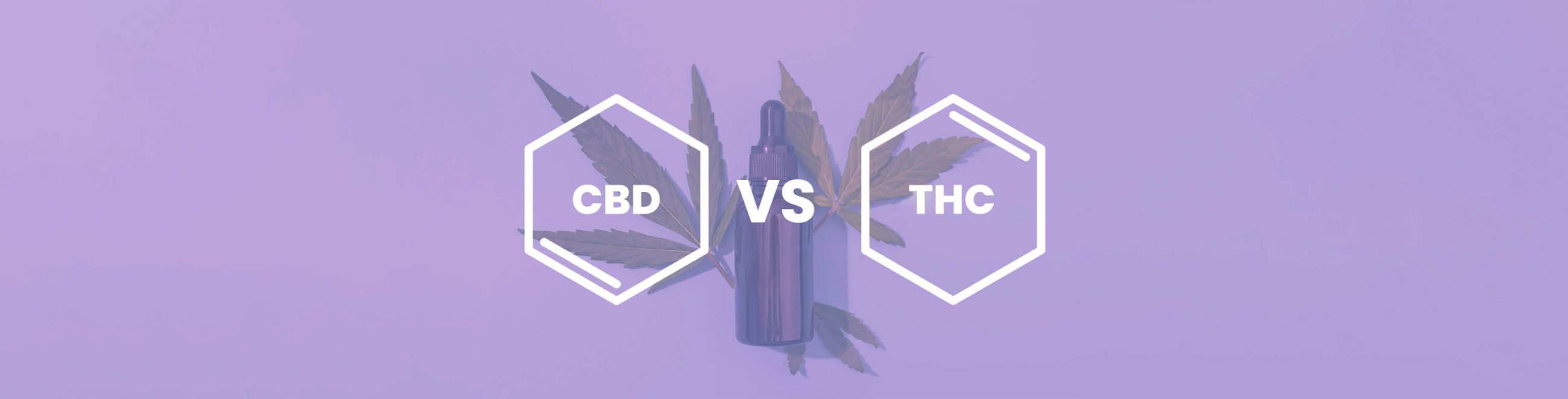 CBD vs THC: Discover The Difference