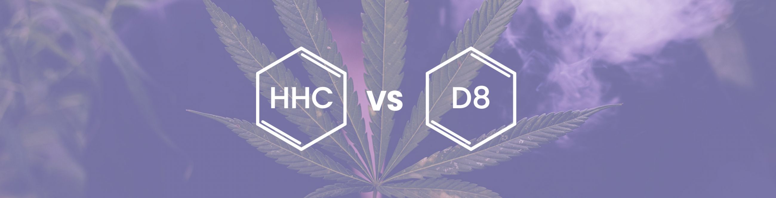 HHC Vs Delta 8: Which One Is Right For Me?