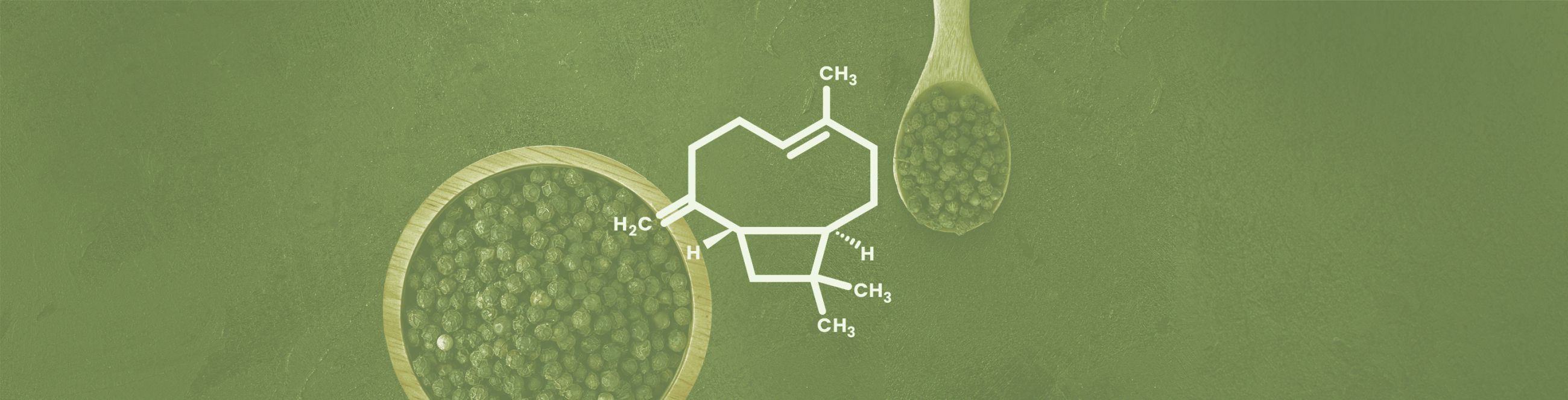 Caryophyllene Terpene Effects & Benefits - The Ultimate Guide