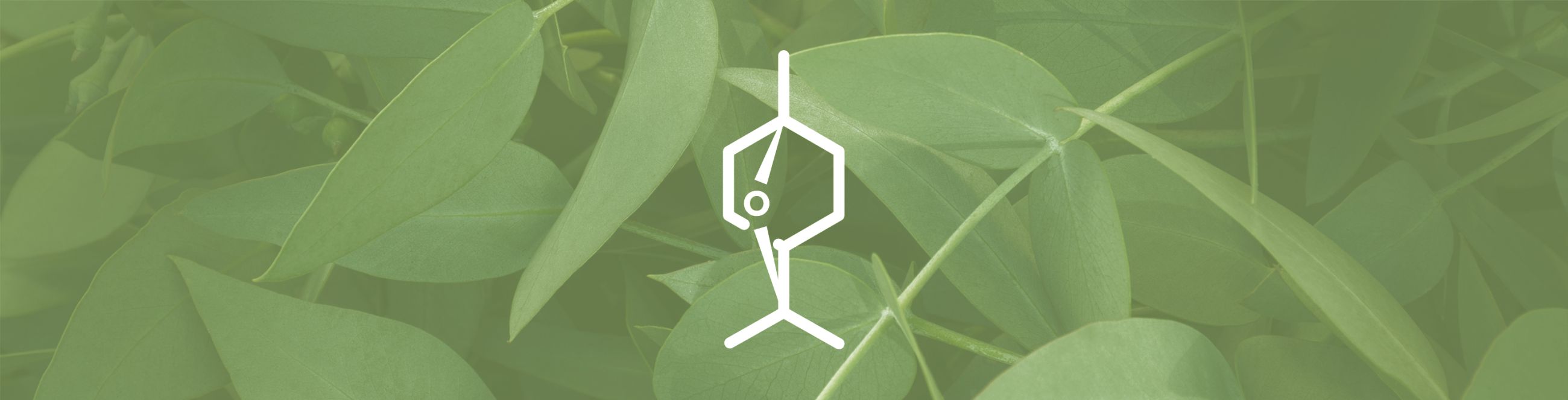 Eucalyptol Terpene Effects & Benefits - The Ultimate Guide