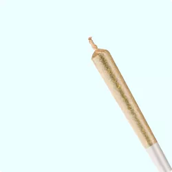 THCA Prerolls