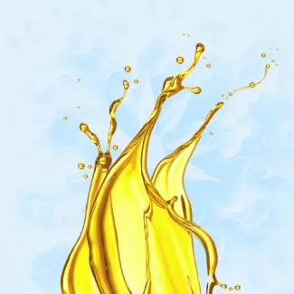CBD Isolates Oils