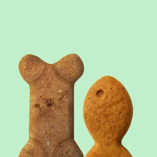 CBD For Pets