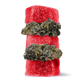 50mg D8 + Live Resin Gummies - Granddaddy Purple - Chill Extreme