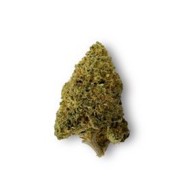 Master Kush Flower - THCA - Indica