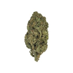 Pink Candy Flower - Sativa – THCA