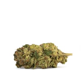 Walrus Kush Flower - Hybrid - THCA