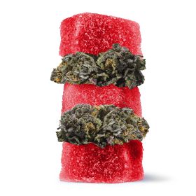 50mg D8 + Live Resin Gummies - Granddaddy Purple - Chill Extreme