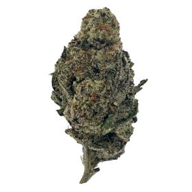 G Flower – Sativa – THCA