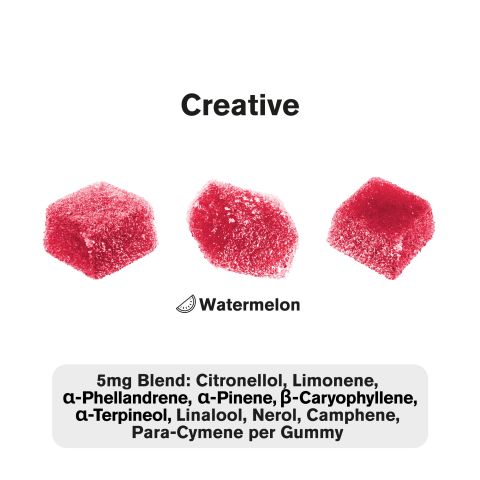 10mg Terpene Gummies - Creative - Watermelon - Terps Gummies - Thumbnail 4