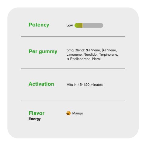 10mg Terpene Gummies - Energy - Mango - Terps Gummies - Thumbnail 5