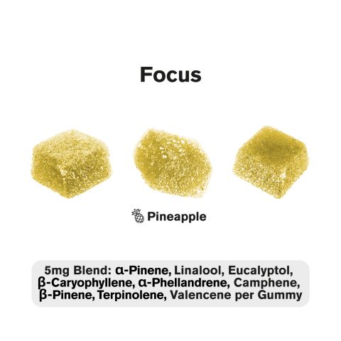 10mg Terpene Gummies - Focus - Pineapple - Terps Gummies - Thumbnail 4
