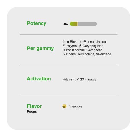 10mg Terpene Gummies - Focus - Pineapple - Terps Gummies - Thumbnail 5