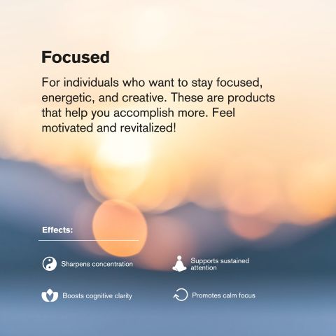 10mg Terpene Gummies - Focus - Pineapple - Terps Gummies - Thumbnail 6