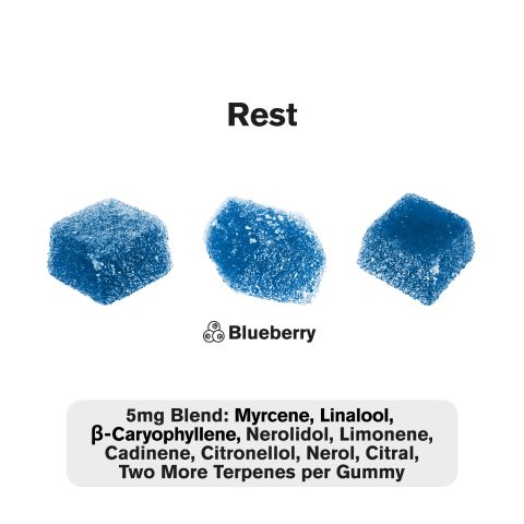 10mg Terpene Gummies - Rest - Blueberry - Terps Gummies - Thumbnail 3