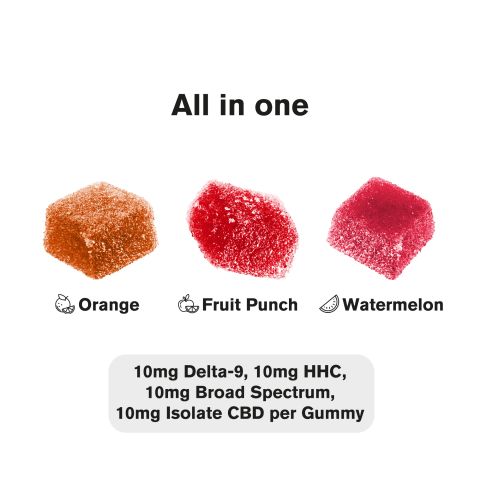 All in One Blend - 40mg Gummies - 4 Cannabinoid Blend - Chill Extreme - Thumbnail 3