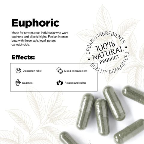 500mg Kratom Capsules - Trainwreck - 100 ct - Chill Plus - Thumbnail 3