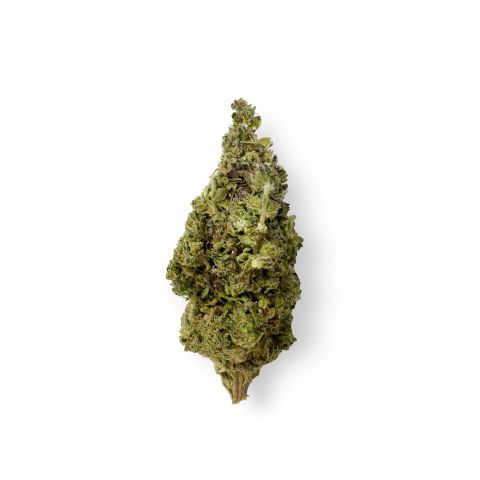 Lemon Bean Flower – Sativa – THCA - Thumbnail 1