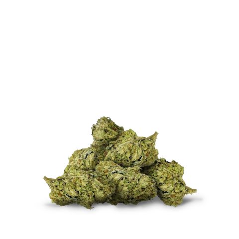 Blue Zlushie Flower – Indica-Dominant Hybrid – THCA - Thumbnail 2