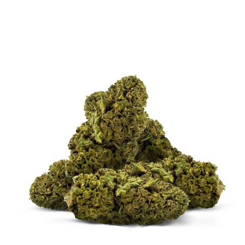 Gary Payton Flower – Hybrid – THCA - Thumbnail 2