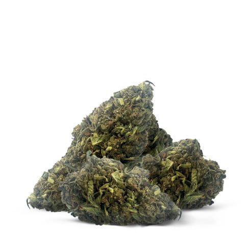 Purple Star Diesel Flower – Hybrid – THCA - Thumbnail 2
