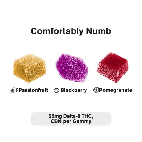 Comfortably Numb Blend - 25mg Gummies - D8, CBN - Blends by Fresh - Thumbnail 4
