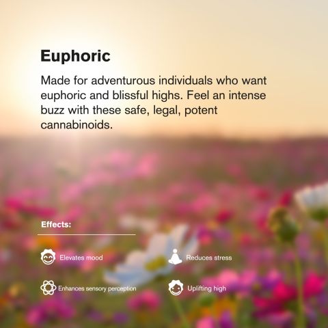 25mg Euphoria Blend - D8, D9, HHC, CBD, CBG, PHC - Blends by Fresh - Thumbnail 6