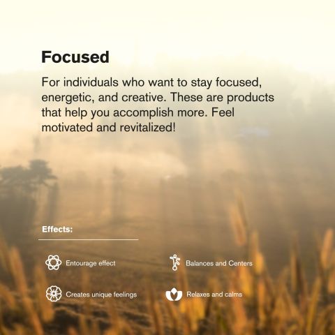 Focus Blend - 2000mg Vape Pen - Indica - 2ml - Blends by Fresh - Thumbnail 6