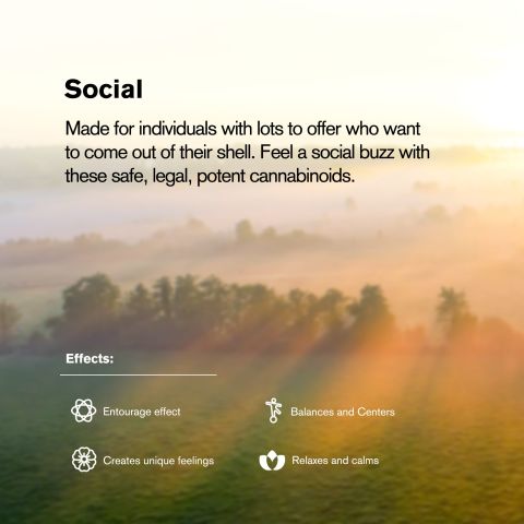 2,000mg D8, THCP, HHC, THCB, CBG, CBN Vape Pen - 1ml - Blends by Fresh - Thumbnail 6