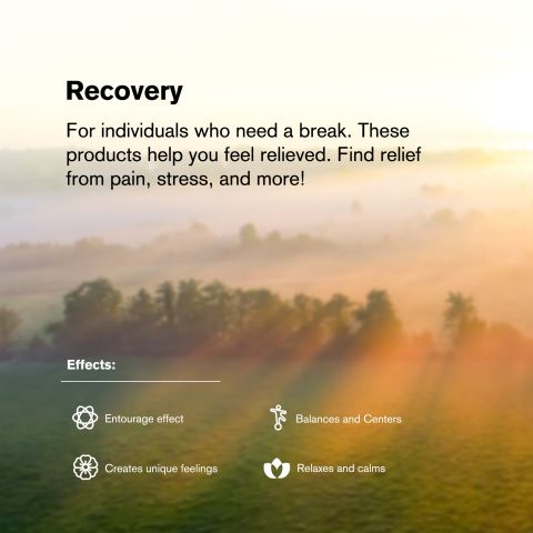 Soothe Blend - 2000mg Vape Pen - Sativa - 2ml - Blends by Fresh - Thumbnail 6