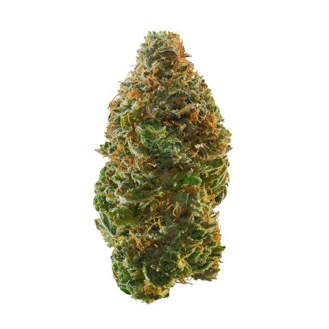Garlic Cocktail Flower – Indica – THCA - Thumbnail