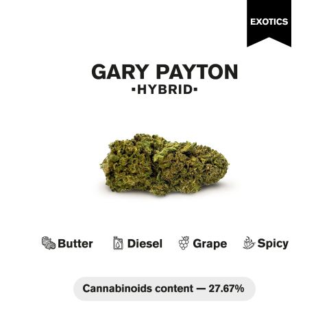 Gary Payton Flower – Hybrid – THCA - Thumbnail 4