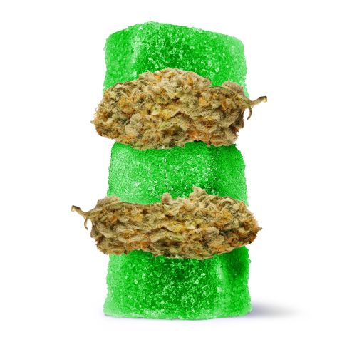 100mg D8 + Live Resin Gummies - Jack Herer - Chill Extreme - Thumbnail 1