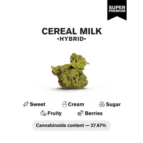 Cereal Milk Flower - Hybrid - THCA - Thumbnail 4