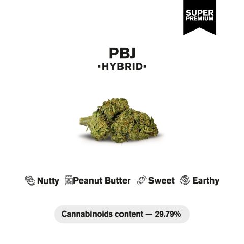 PBJ Flower – Hybrid – THCA - Thumbnail 4