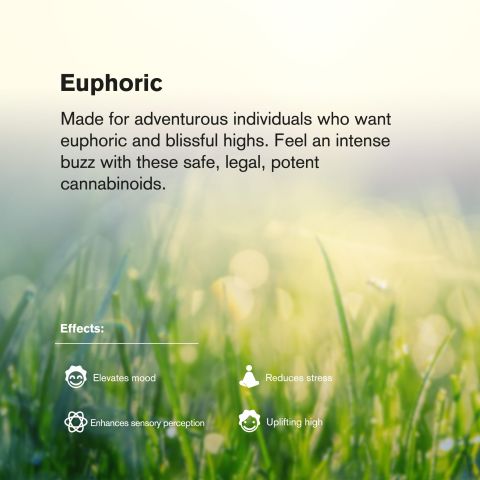 Limoncello Runtz Flower – Sativa – THCA - Thumbnail 6